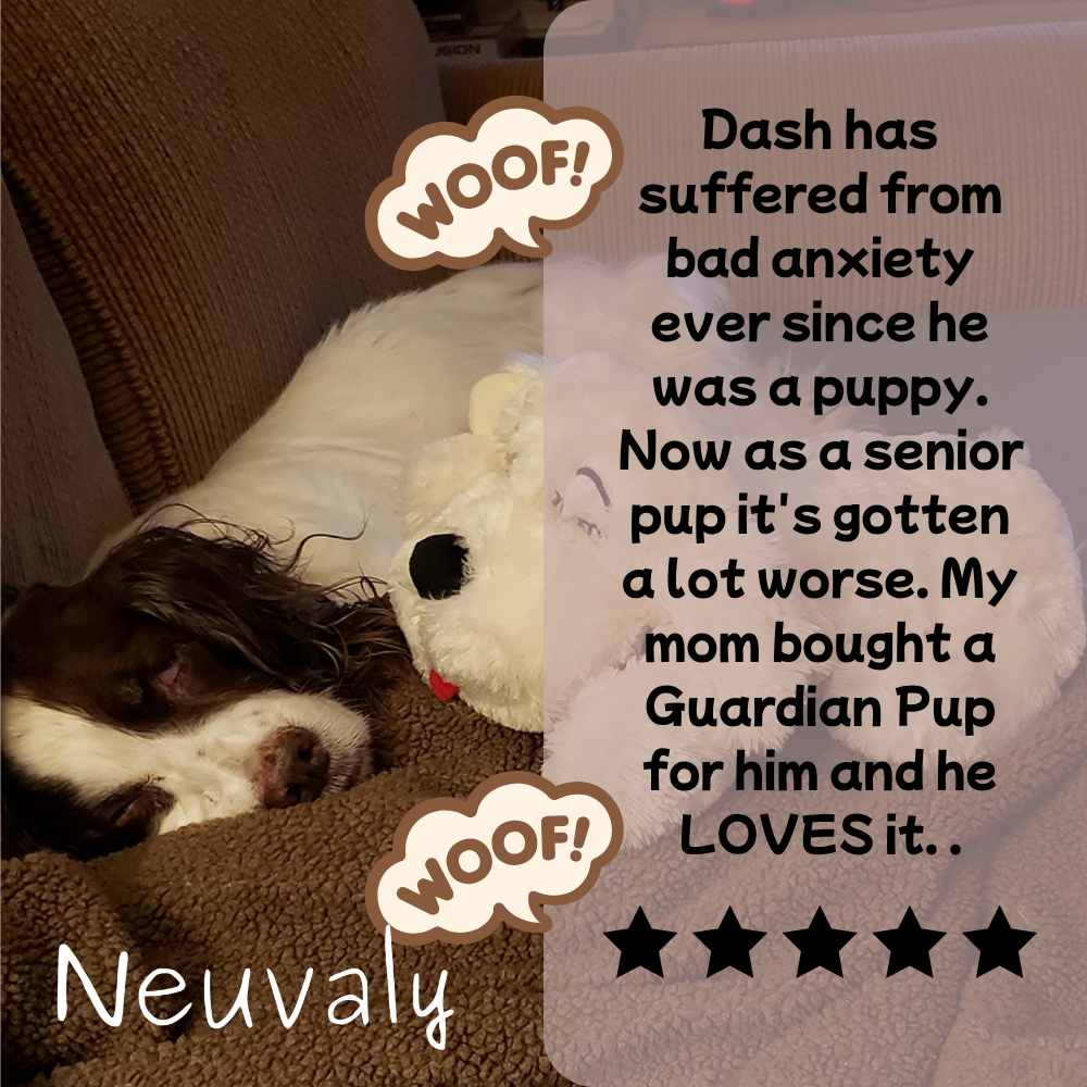 Guardian Pup